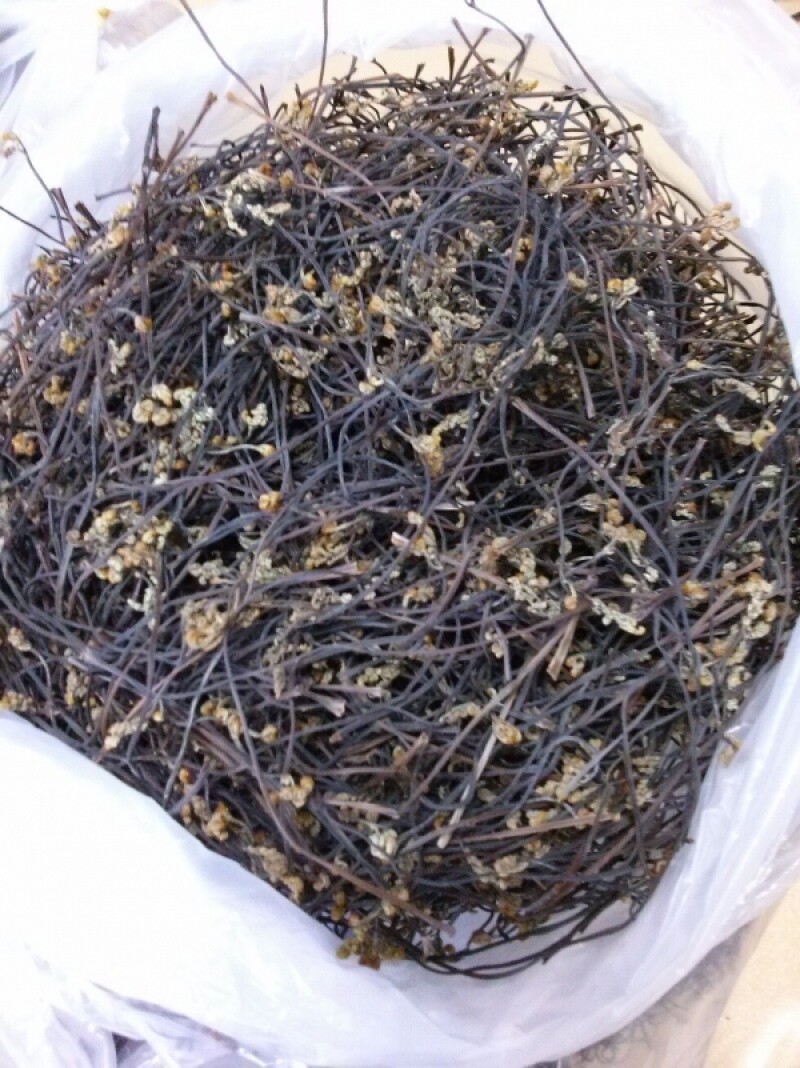 강원더몰,민둥산 고사리 (생1kg) (건조100g) [원산지:국산(강원도 정선군)]