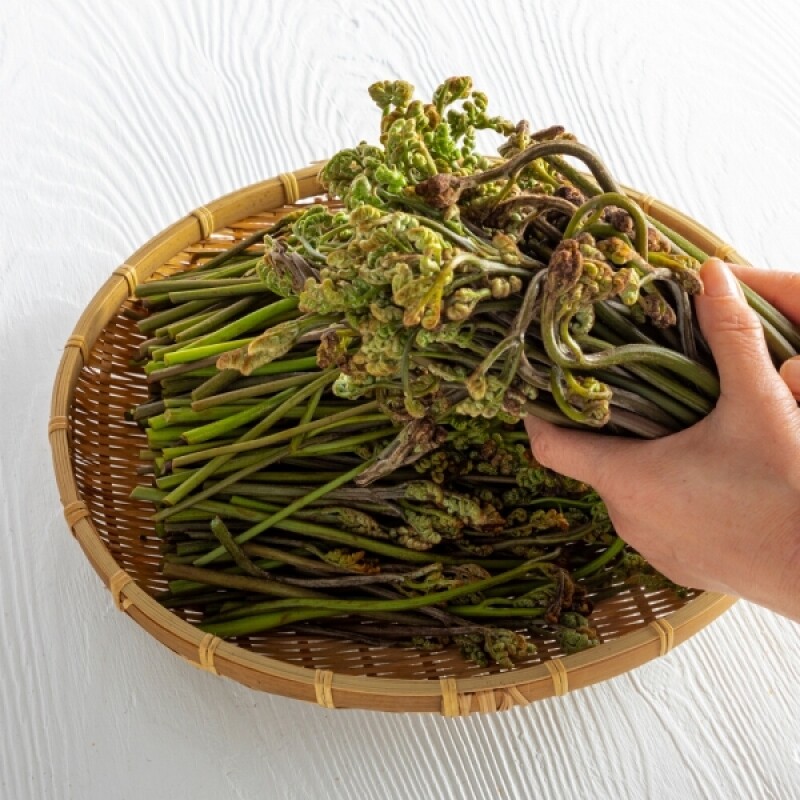 강원더몰,민둥산 고사리 (생1kg) (건조100g) [원산지:국산(강원도 정선군)]
